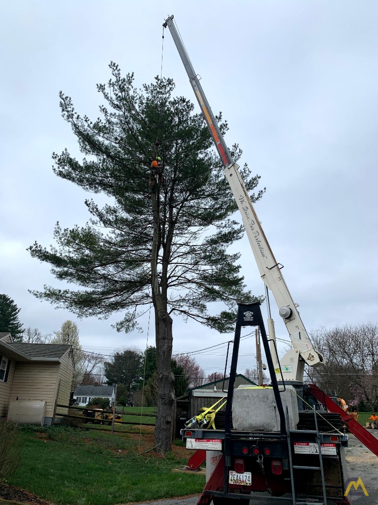 Terex BT 3670 17-Ton Boom Truck Crane 3