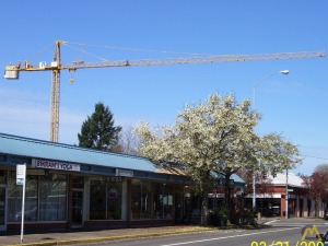 FM Gru 1250 6.61-ton Hammerhead Tower Crane