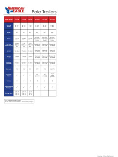American Eagle ICP 14K Specifications