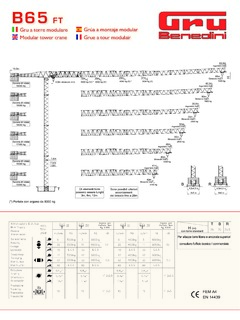 Gru Benedini B65FT Specifications