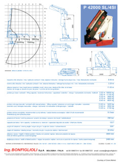 Ing. Bonfiglioli P 42000 SL Specifications