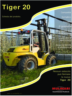 Mulinari Tiger 20 Specifications