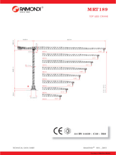 Raimondi MRT 189 Specifications