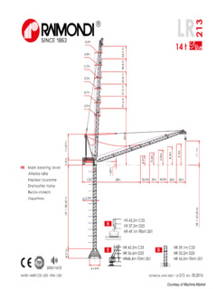 Raimondi LR213 Specifications