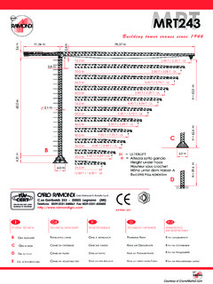 Raimondi MRT 243 Specifications