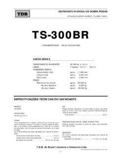 Tadano TS-300BR Specifications