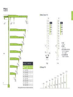 Zoomlion TCT5513 Specifications